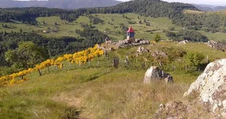 Accompagnateur en montagne : RandosudVosges