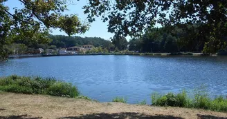 Aires de pique-nique du lac de Creutzwald