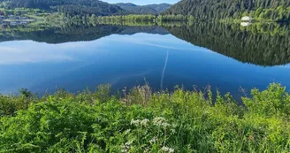 Le lac de Gérardmer