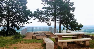Aire de pique-nique - Point de vue du Hetschenberg