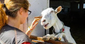 Ferme de la Hardonnerie Ferme de la Hardonnerie