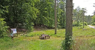 Aire de pique-nique - Fontaine du roi de Prusse