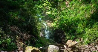 Le saut de la bourrique