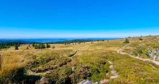 La réserve naturelle du Tanet - Gazon du Faing