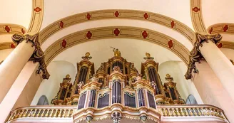 Orgues de Saint-Maximin