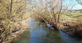 La vallée de la Nied réunie