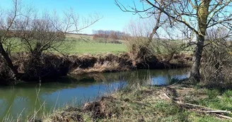 La vallée de la Nied réunie