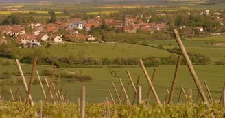 Commune de Vic-sur-Seille