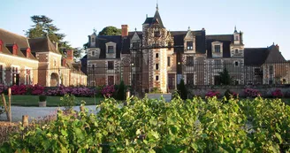 Château de Jallanges - Vernou-sur-Brenne Château de Jallanges - Vernou-sur-Brenne