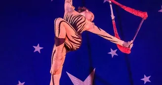 Cirque Paradiso Le Parc