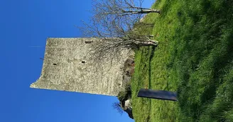 La Montcuquoise