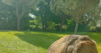 Les Murmures d'Ailleurs