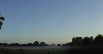 Brume sur la prairie
