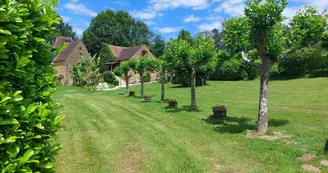 Les Platanes à Sarlat_5
