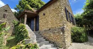Les Platanes à Sarlat_3