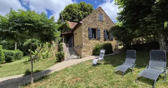 Les Platanes à Sarlat_1