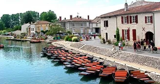 Coulon Coulon