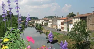 Coulon Coulon