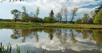 Plan d'Eau de la Brousse