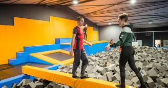 Fly arena