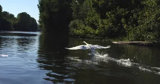 canoes-decouverte-dordogne-sarlat-riviere-kayak-rocher-beynac-nature