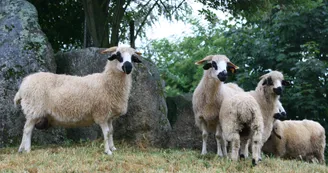 Thônes et marthod