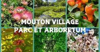 Arboretum