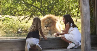 3. LIONS