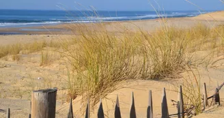 Plage Centrale_Moliets_Landes Atlantique Sud