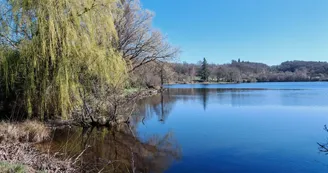 Etang du Puy