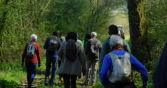 Site archéologique Brassempouy