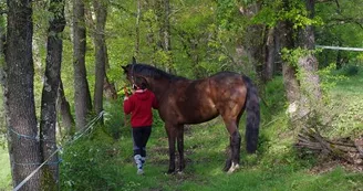 Coeurdebastides_Pailloles_EquipementLoisirs_HarasdeSoulignac4_20160928 (800x600)