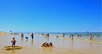 Plage nord-Messanges-Landes Atlantique Sud
