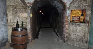Lembeye - Chai Doléris - crédit Tourisme Nord Béarn et Madiran 2020 (10)