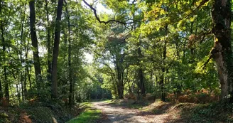 Randonnée - 4_3 Randonnée - 4_3