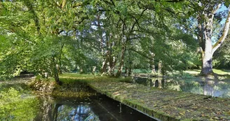 HLO_Saint-Maurice