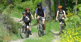 VTT_2 VTT_2
