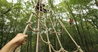 Parc WIZZ’ TITI_6