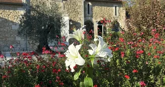 domaine-ecrin-lumiere-jardin-campsegret-tourisme-vallee-isle