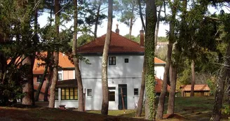 bois st vincent