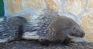 Zoo de Mescoules (4)