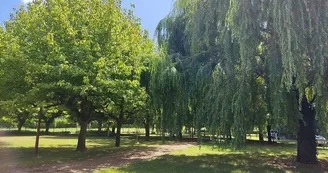 Camping Les Platanes