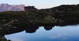 Refuge-Pombie1-OTLaruns