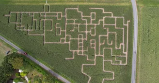 Périgord Inattendu - Labyrinthe de mais à Vendoire