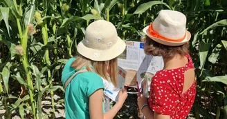 Périgord Inattendu - Labyrinthe de mais à Vendoire
