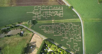 Périgord Inattendu - Labyrinthe de mais à Vendoire