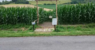 Périgord Inattendu - Labyrinthe de mais à Vendoire