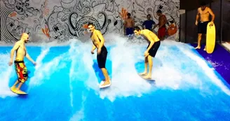 wsc_freesession