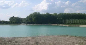 Photo_4.JPG