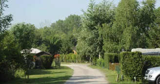 Photo_2.JPG
